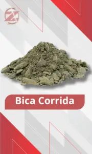 Bica Corrida